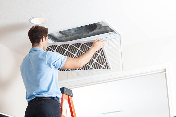 Best Best HVAC companies  in Mayville, ND